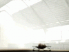 Daydreamer..gif