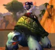turtle.webp