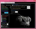 chameleon.webp