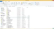 honorbug2.webp