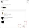 11.webp