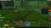 bug.webp