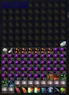bag.webp