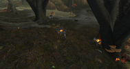 Spires_Carts.webp