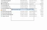 Capture.webp