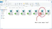 wdmt.webp