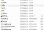 Capture.webp