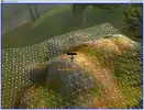 mesh.webp