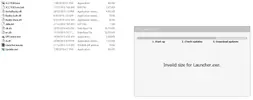 dqwdqwf.webp