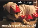 white-mage.webp white-mage.webp