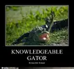 knowledgeable-gator.webp