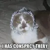 11026-tinfoil-hat.webp