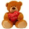 teddy_bear_i_love_you-1383.webp