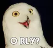 219-o-rly.webp