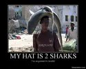 sharks.webp