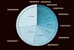 chart.webp