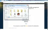 wtf.webp