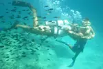 snorkling-cypern-cyprus-snorkle-fisk-fish-ubd-boat-submarine-yellow-gul-klart-vand-gode-forho...webp