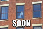 soon-horse.webp