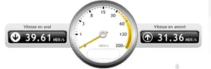 int.webp