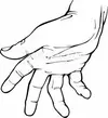 images.webp