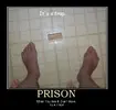 t52f80e_Its-a-trap.webp