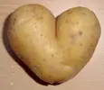 Potato.webp