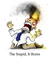 thestupiditburns.webp