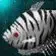 Flying Tiger Gourami.webp