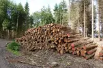 4982640491_480600cb84.webp