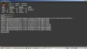DB-pic.webp