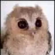 Muqi