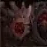xXMrBraunXx