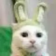 xzjv