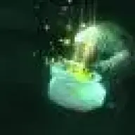 24SevenBotting