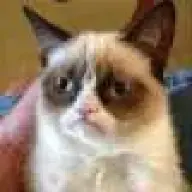 Chbeeb