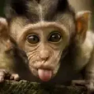 monkeybaby