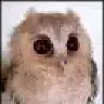 Muqi