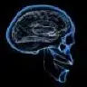 Cereb