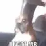 Onelover