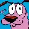 ducbui