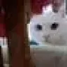 nimou