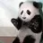 Tom__
