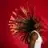 Dreadlock